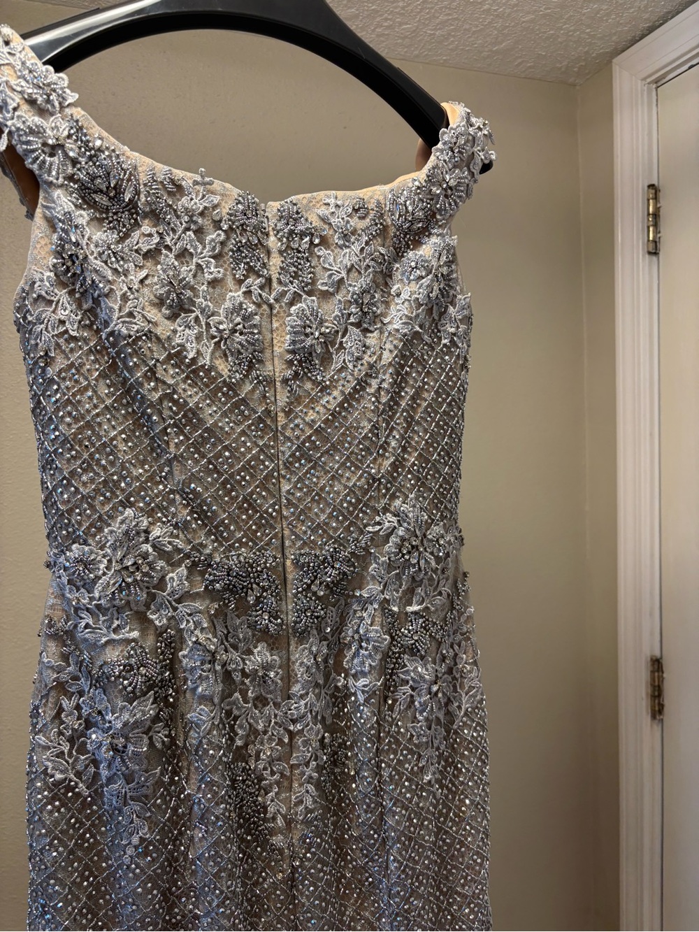 Terani Couture Silver/Nude Beaded Lace Formal - Picture 6 of 16